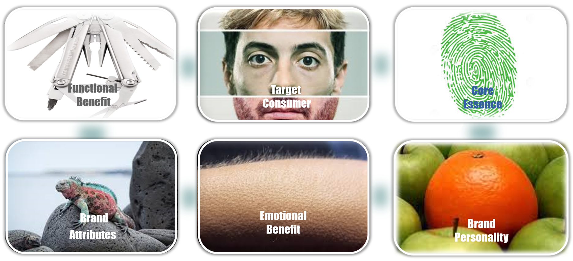 the archetypal branding process broken down into 6 phases, each symbolized by an image: target customer with a human face; functional benefits with utility knife; emotional benefit with bristly hair ; brand attributes with multicolored chameleon; brand personality with orange among apples; core essence with a thumbprint