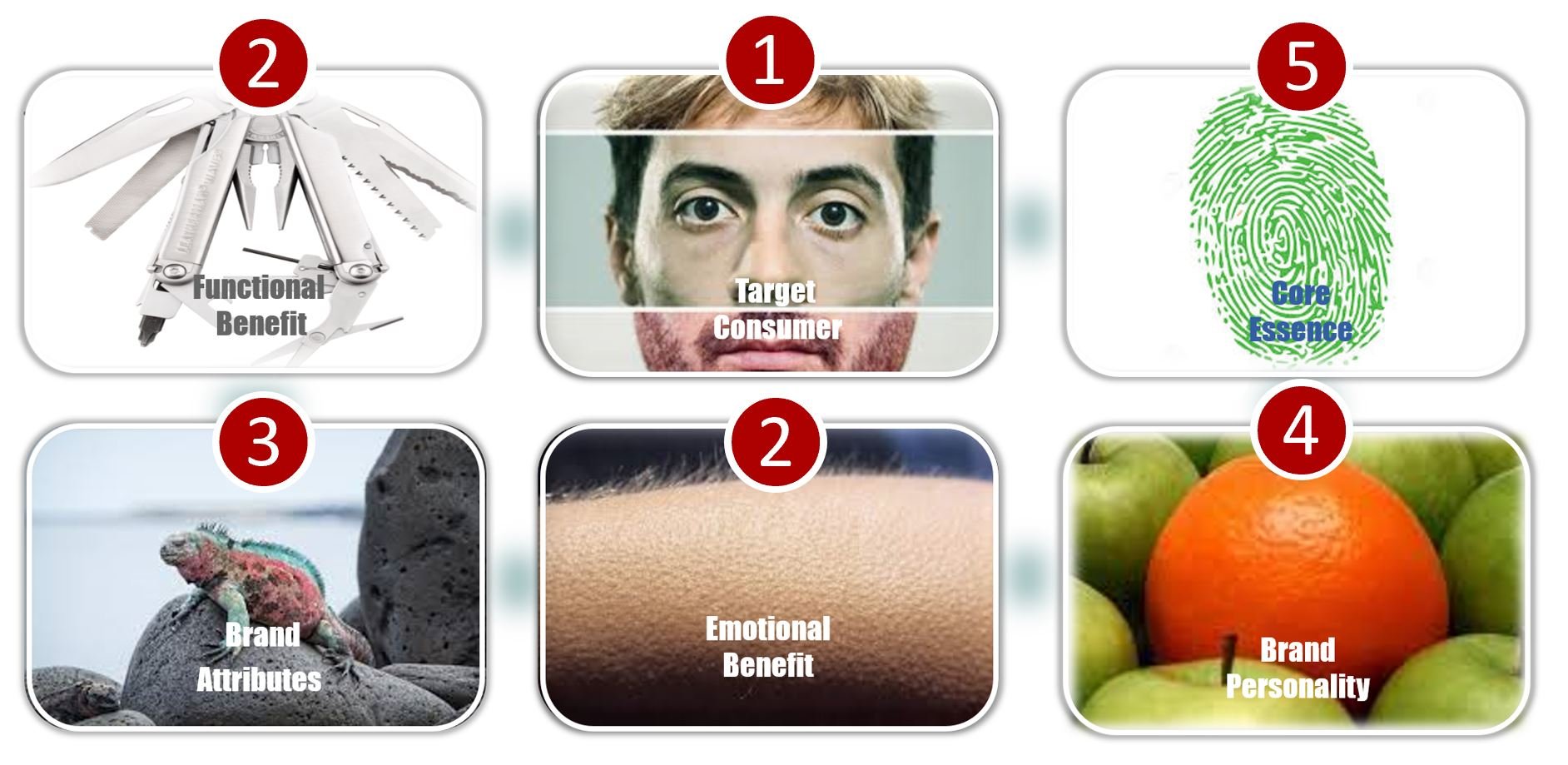 the archetypal branding process broken down into 6 phases, each symbolized by an image: target customer with a human face; functional benefits with utility knife; emotional benefit with bristly hair ; brand attributes with multicolored chameleon; brand personality with orange among apples; core essence with a thumbprint